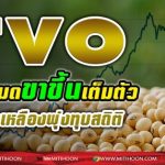 TVO