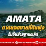 AMATA